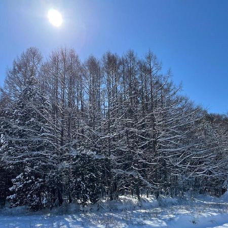 月ノ森 -Moon Forest- Fujikawaguchiko Esterno foto