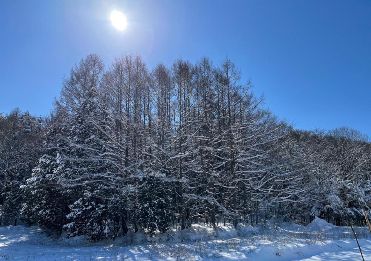 月ノ森 -Moon Forest- Fujikawaguchiko Esterno foto